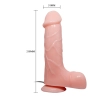 Realistyczny penis z wyżyłowanym trzonem 21 cm