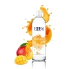 BTB WATER BASED FLAVORED MANGO LUBRICANT 250ML