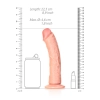 Realistyczne żylaste dildo z przyssawką 22,5 cm