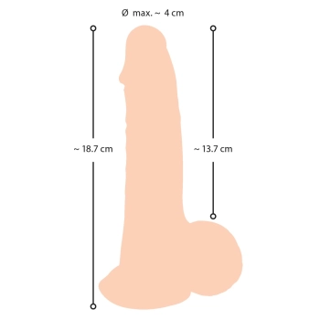 Realistyczny żylasty penis z przyssawką 19 cm