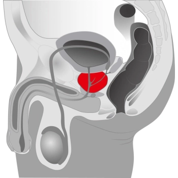 Rotacyjny masażer prostaty wibrator 5 trybów 20cm