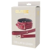 BLAZE ELITE COLLAR AND LEASH RED