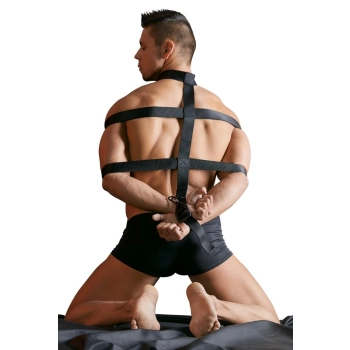 Body Harness