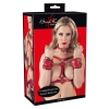 Bad Kitty Harness Set red