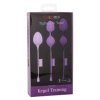 Kegel Training 3 Pcs Purple