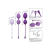 Kegel Training 3 Pcs Purple