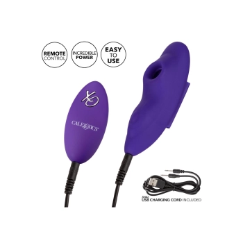 Remote Suction Panty Teaser Purple