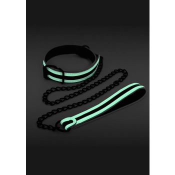 Glo Collar And Leash Glow in the dark