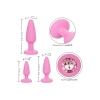 Crystal Booty Kit Pink