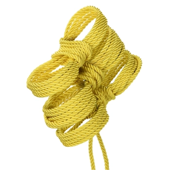 Boundless Rope 10M Yellow