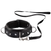 Collar Leash