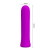 PRETTY LOVE - Blanche Purple, 12 vibration functions Memory function