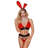 BUNNY OUTFIT 5 PCS ROUG TU (Size: TU)