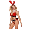 BUNNY OUTFIT 5 PCS ROUG TU (Size: TU)