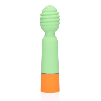 Ribbed Mini Vibrator with USB Charger