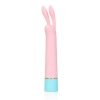 Mini Rabbit Vibrator with USB Charger