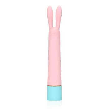 Mini Rabbit Vibrator with USB Charger