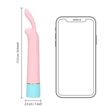 Mini Rabbit Vibrator with USB Charger