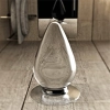 Flawless Clear Anal Plug 4.5
