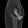 Flawless Clear Prostate Plug 6.0