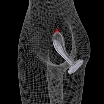 Flawless Clear Prostate Plug 6.0