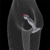 Flawless Clear Prostate Plug 6.5