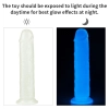 8 Lumino Play Dildo