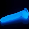 10 Lumino Play Dildo