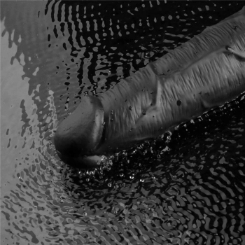 Dildo wibrujące realistyczne Lovetoy TPE czarne 27cm ładowane