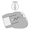 Streetgirl’s with Sensation Pulse Box