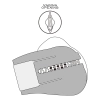 Streetgirl’s with Sensation Pulse Box