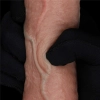 7.5 Dual Layered Silicone Cock