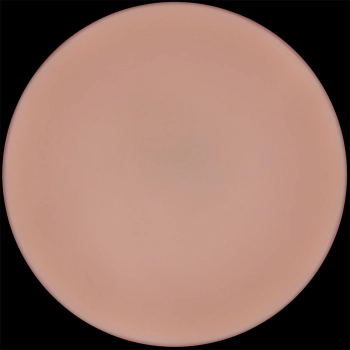 9 Sliding Skin Pro II Dual Layer Silicone Dong