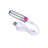 Wibrator-Strong Bullet Vibrator Silver/Pink USB 10 Function