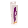 Wibrator-CLARA Purple 12 vibration and 6 pulsation functions USB