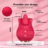 Stymulator łechtaczki z lizaniem Petal Bliss silikonowy USB 9cm