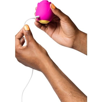 ROMP Rose - PINK