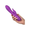 Valley Vamp Purple