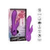 Valley Vamp Purple