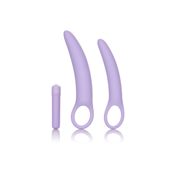 Isabelle Set of 2 Dilators Purple