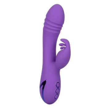 West Coast Wave Rider Purple