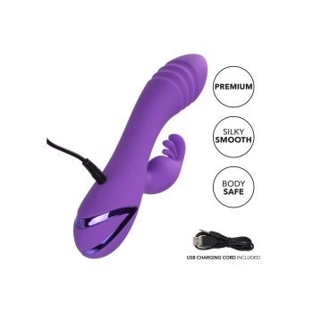 West Coast Wave Rider Purple