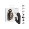 Raven Butterfly Black
