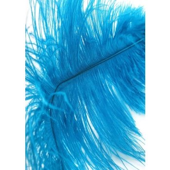 Double Feather Tickler Blue
