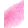 Piórko łaskoczące Double Feather Tickler różowe 68 cm