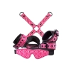Bondage Kit Pink