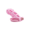Klatka na penisa Penis Prison Hidden Desire różowa 11 cm
