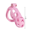 Klatka na penisa Penis Prison Hidden Desire różowa 11 cm