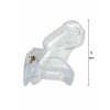 Pas cnoty Clear Control przezroczysty Hidden Desire 10 cm