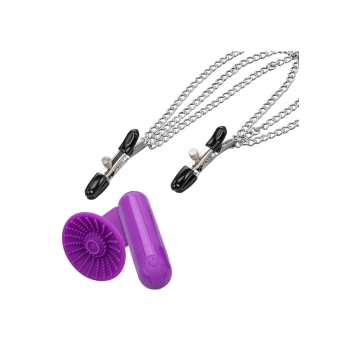 Zestaw wibracyjny Passion Collection Calexotics fioletowy USB